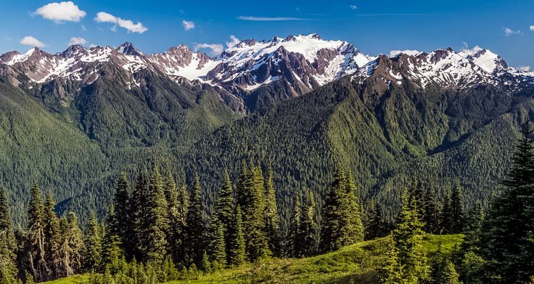 The Olympic Mountains of Washington State